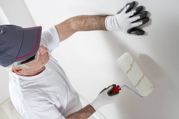 Best Mold Odor Removal Services  in Mayville, WI
