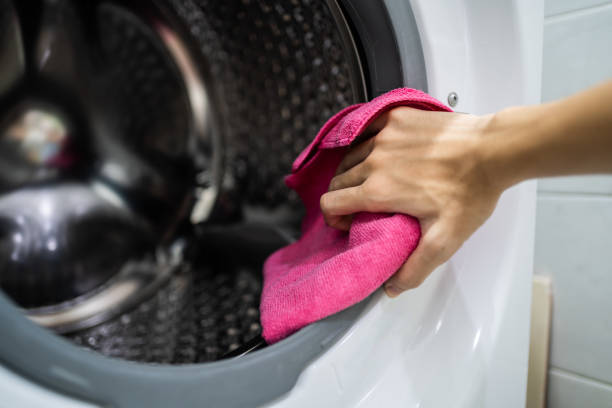 Best Dehumidification Services  in Mayville, WI