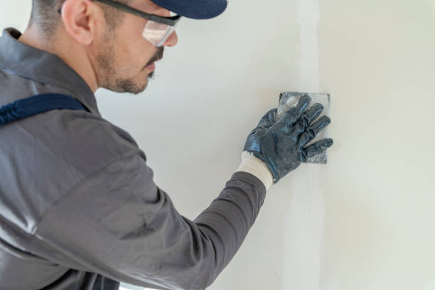 Best Mold Prevention Services  in Mayville, WI