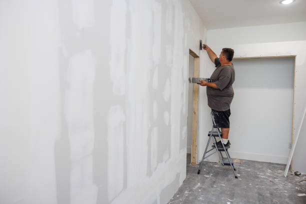 Best Biohazard Mold Removal  in Mayville, WI