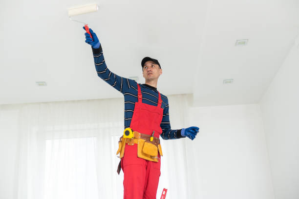 Best Comprehensive Air Testing for Mold Contaminants  in Mayville, WI