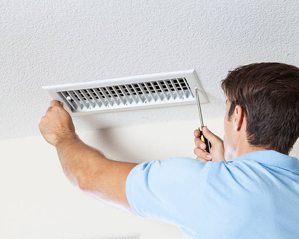 Best Emergency Mold Remediation  in Mayville, WI