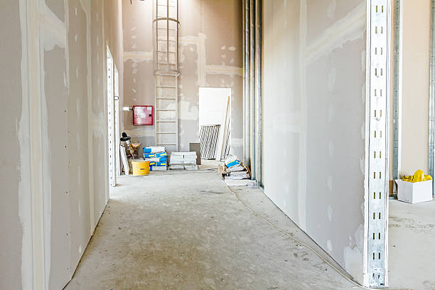 Best Commercial Mold Inspection  in Mayville, WI
